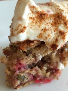 havermout rode bessen brood